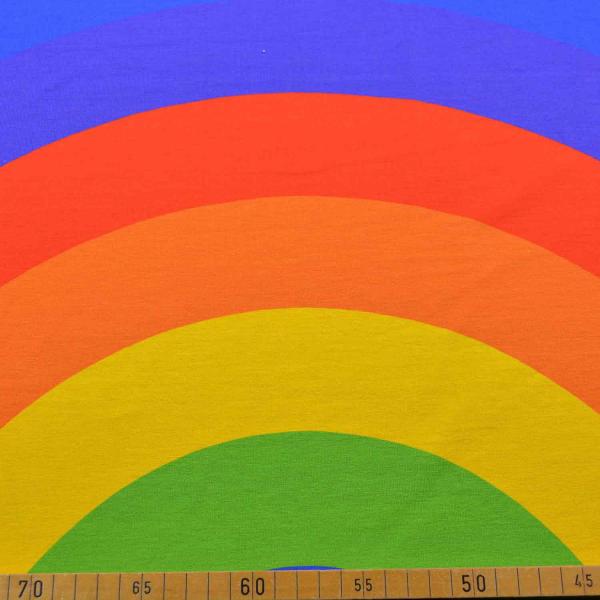 Baumwolljersey Panel Regenbogen ca. 75cm